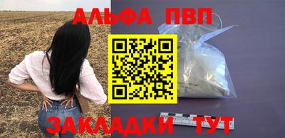 шишки Лесосибирск