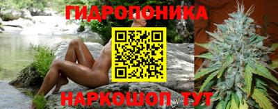 индика Ливны