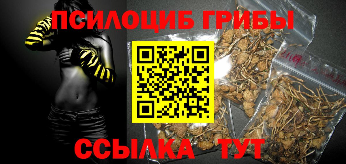 Галлюциногенные грибы мухоморы Каменск-Шахтинский